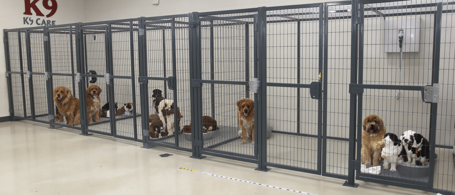 découvrez les recommandations sur la surface idéale de jardin pour votre chien, en fonction de sa taille et de ses besoins en exercice. apprenez à garantir un espace de vie agréable et sécurisé pour votre fidèle compagnon.